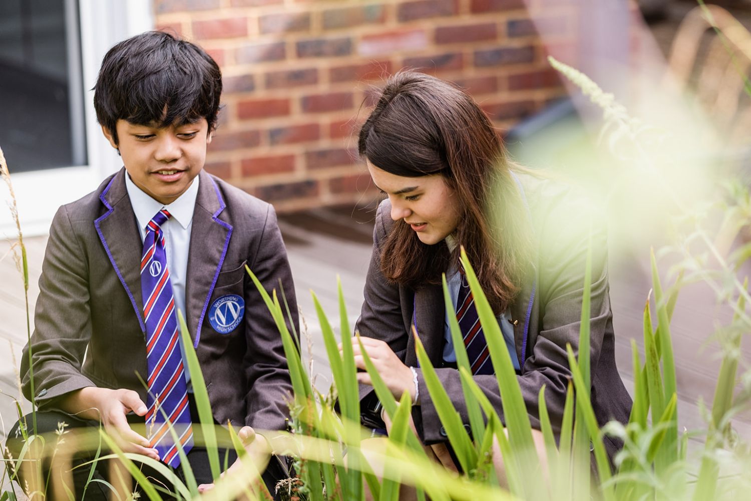 Community background